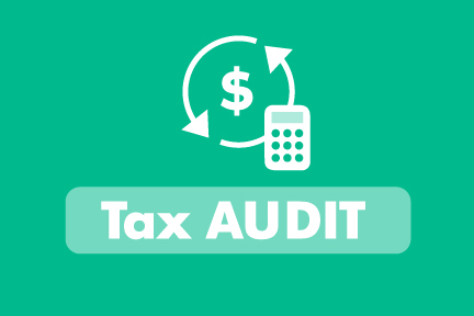 IRS audit what to do